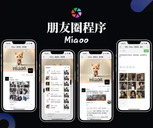 免费|修复版Miaoo朋友圈程序全开源版源码免费下载-蝙蝠源码-免费分享各种优质建站资源！网